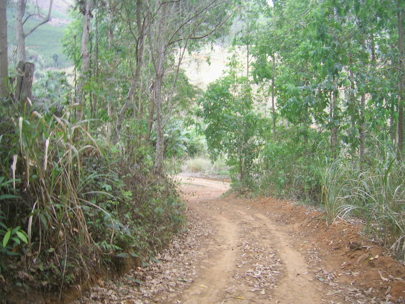 Visão leste - east view