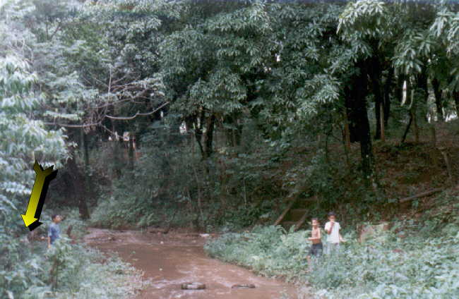 Quase em cima do corrego - Almost there