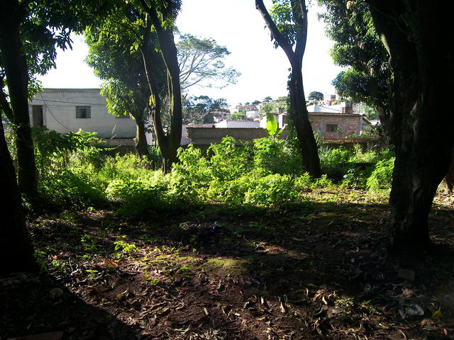 Vista para o Norte.