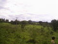 #2: Visão oeste - west view