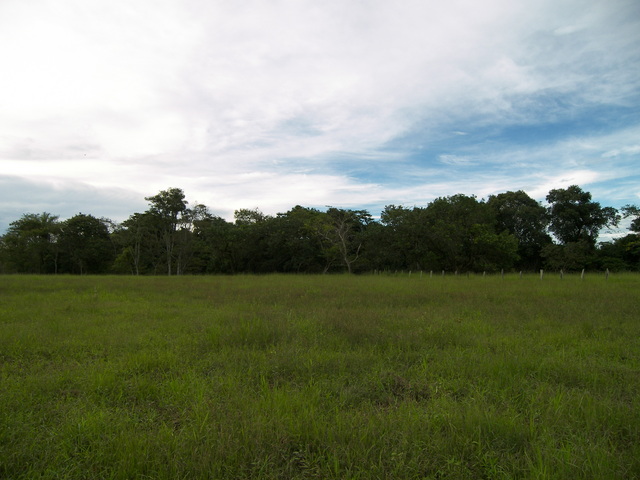 Vista para o Norte.