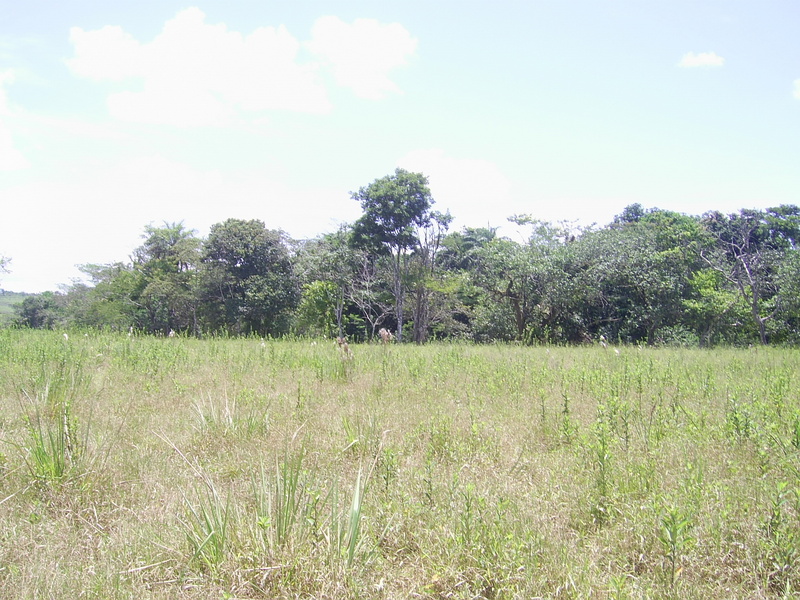 Visão norte - north view