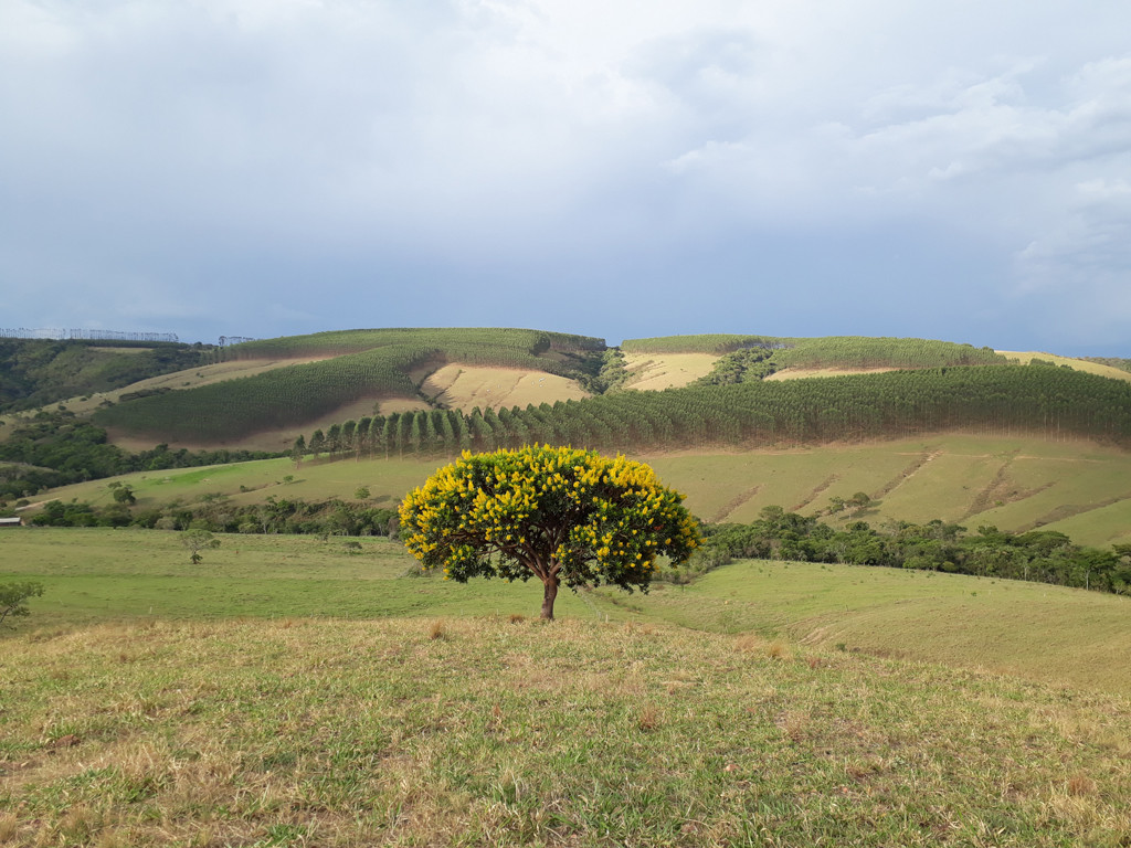 Bela paisagem na caminhada de retorno - beautiful landscape during the hiking back