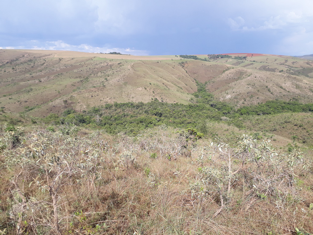 Visão geral - general view