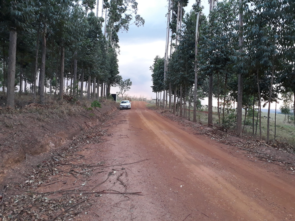 Parei o carro um pouco depois da entrada da fazenda - I stopped the car a bit after the farm entrance