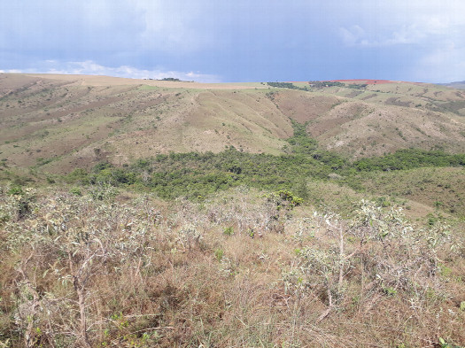 #1: Visão geral - general view