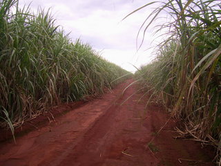 #1: Visão geral - general view