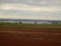 #8: Rio Grande a 1,36 km da confluência - Grande River 1.36 km close to the confluence