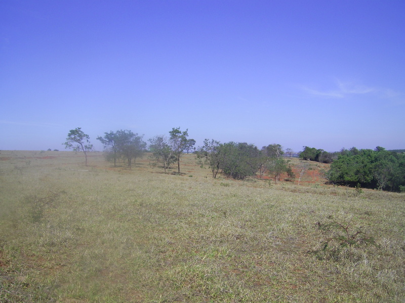 Visão sul - south view