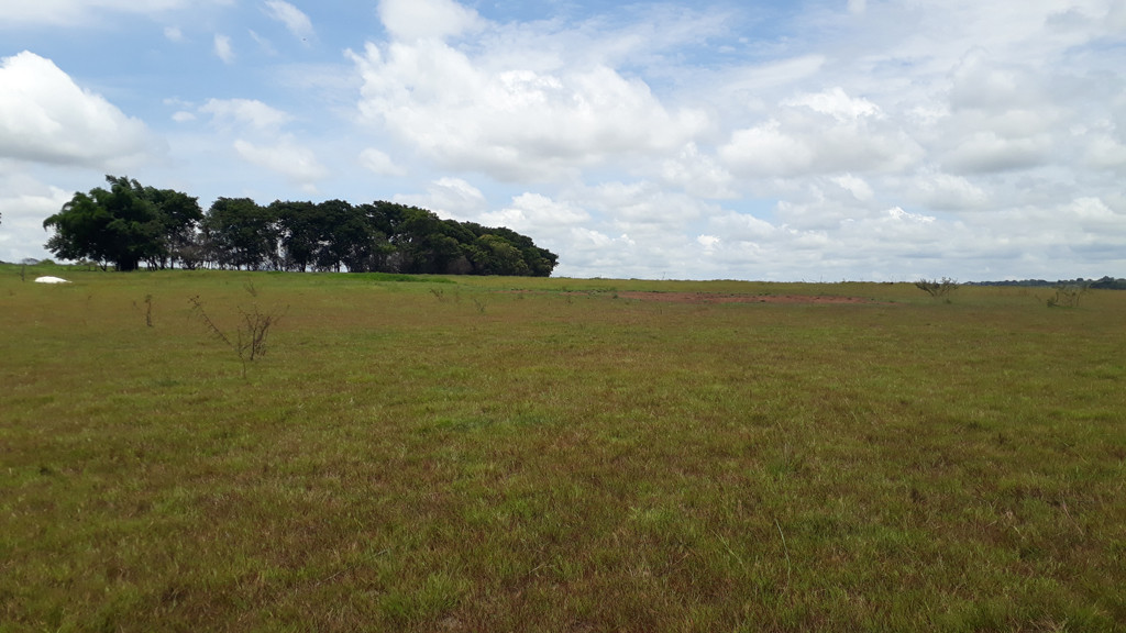 Visão oeste - west view