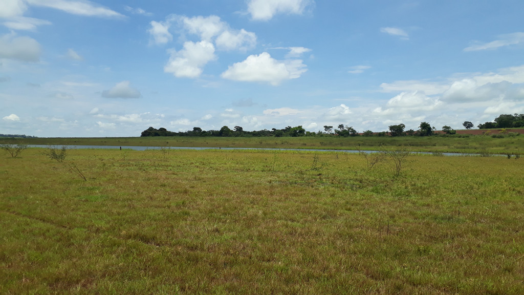 Visão norte - north view