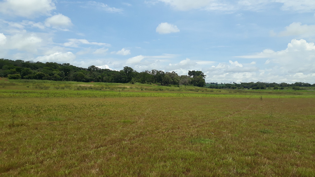 Visão leste - east view