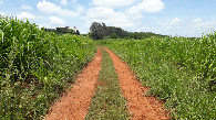 #10: Caminhada até a confluência - hike to the confluence