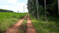 #11: Caminhada até a confluência - hike to the confluence