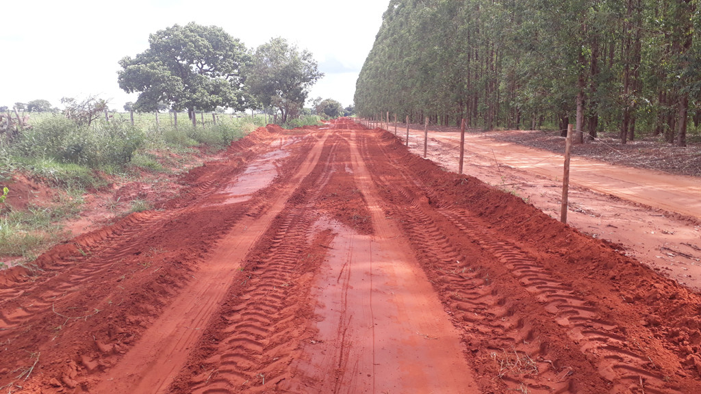 Condições da estrada - conditions of road