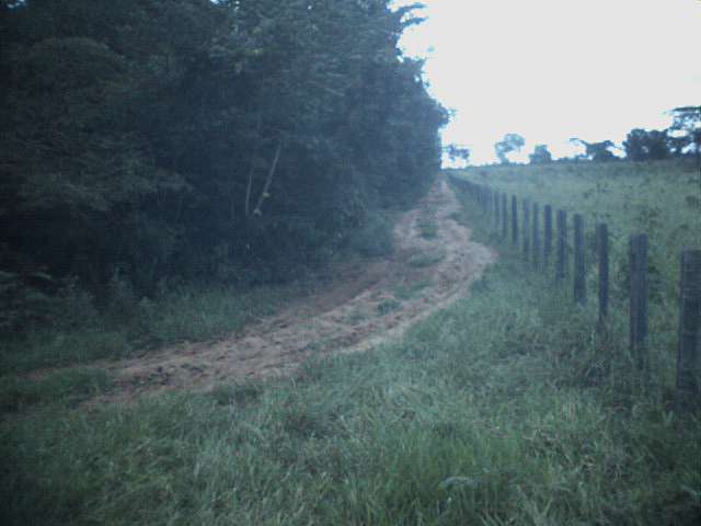 Estrada arenosa e estreita