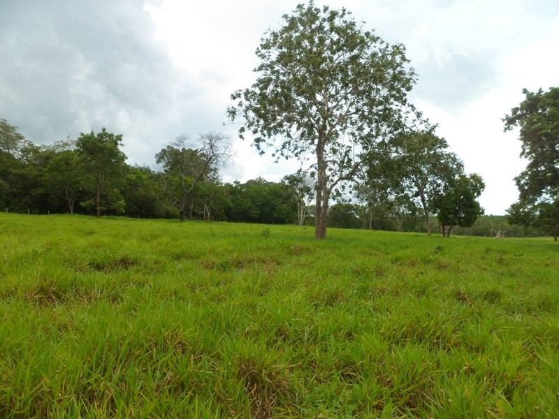 Visão norte - north view