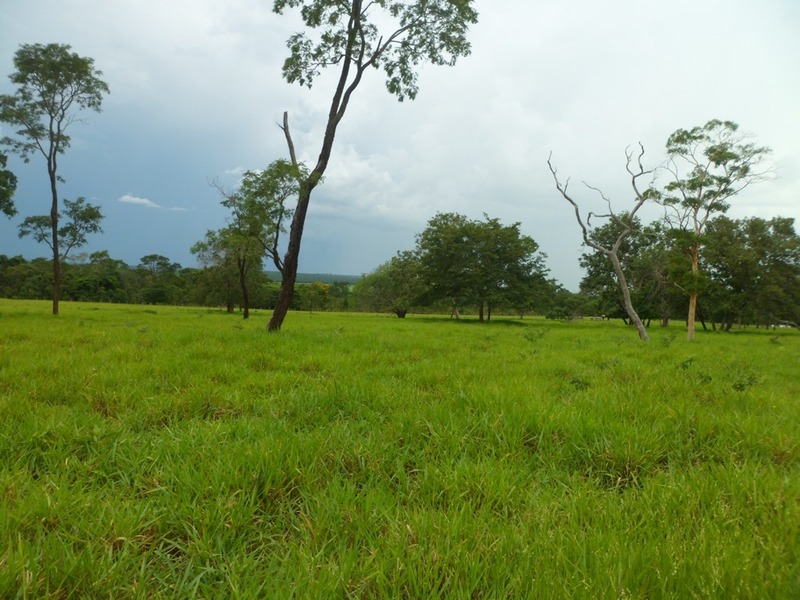 Visão sul - south view