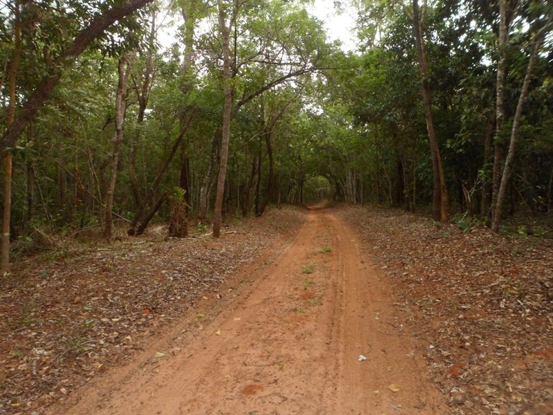 Bela paisagem durante a caminhada - beautiful landscape during the hike