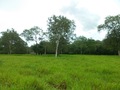 #2: Visão oeste - west view