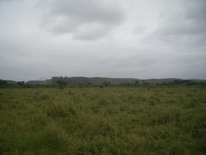 Visão norte - north view