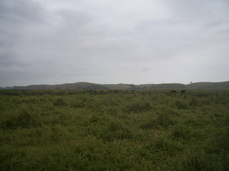 Visão leste e a confluência 59 metros adiante, próxima ao gado - east view and confluence 59 meters ahead, near the cattle