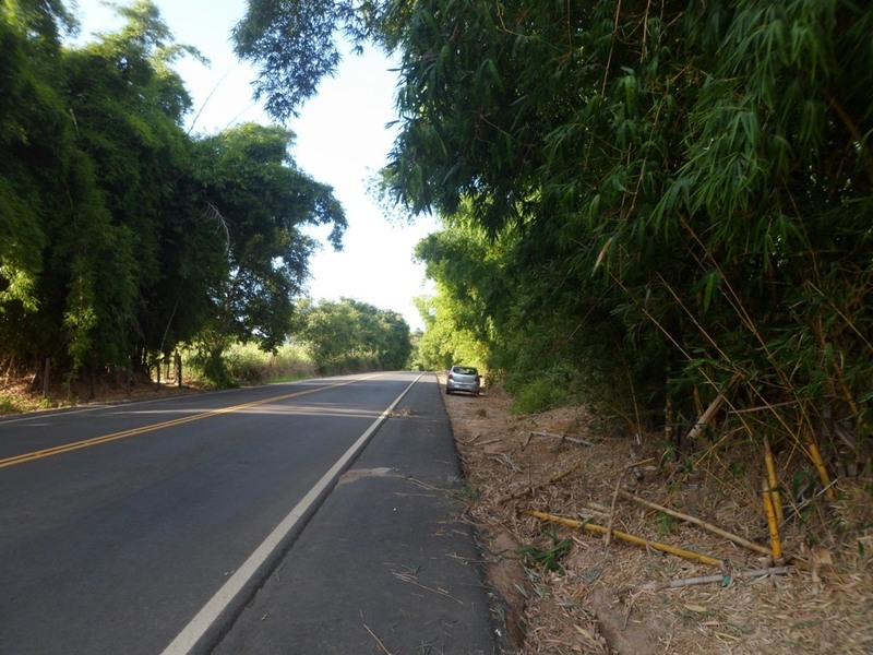 Parei o carro a 800 metros da confluência - I stopped the car 800 meters to the confluence