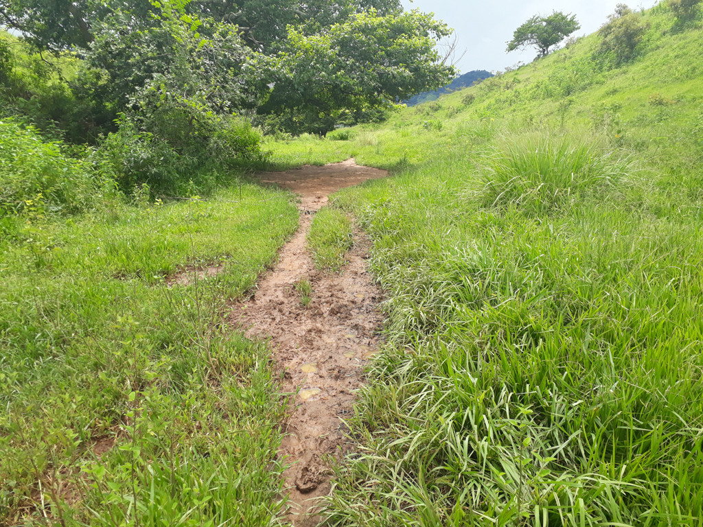 Caminhada até a confluência - hike to the confluence