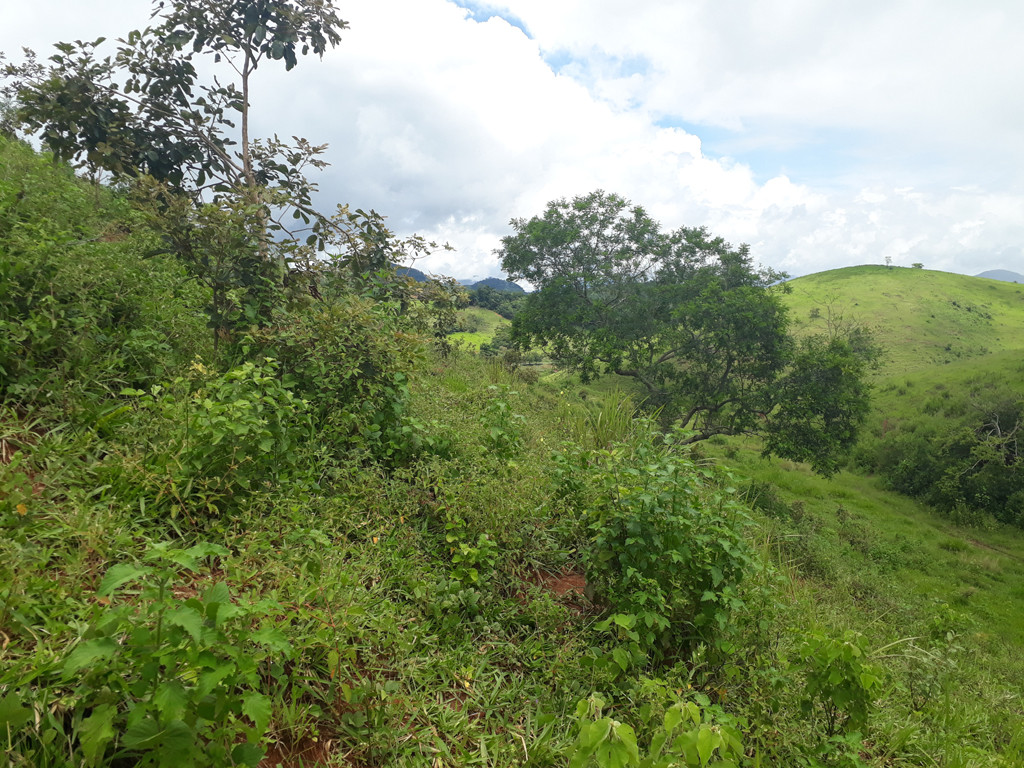 Visão oeste - west view