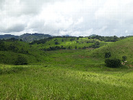 #9: Entre a rodovia e a região da confluência há uma área alagada - there is a flooded area between the highway and the confluence region