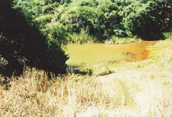 The confluence (20 meters ahead, in the lake)