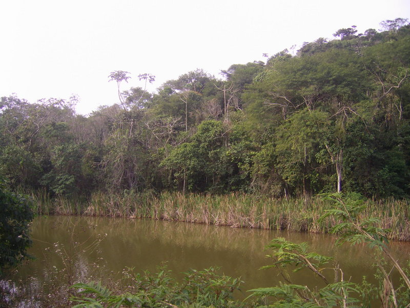 Visão geral - general view