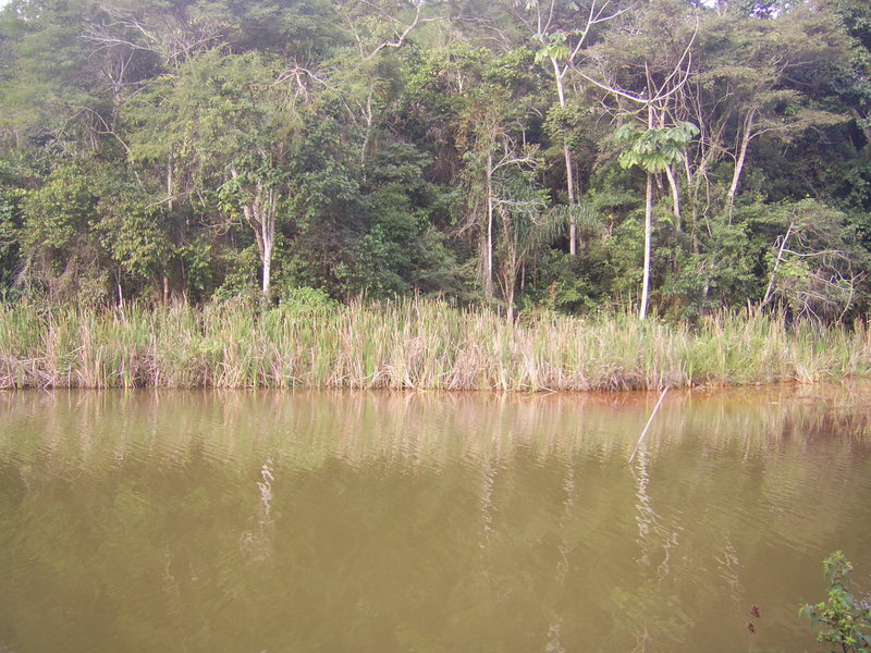 Visão leste e confluência na outra margem - east view and confluence in opposite edge