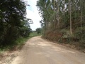 #6: Calle de Acceso. Access road