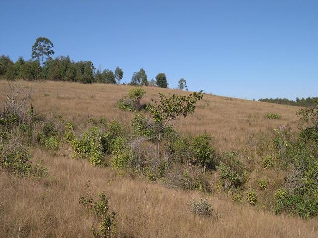 The ravine views to South from confluence