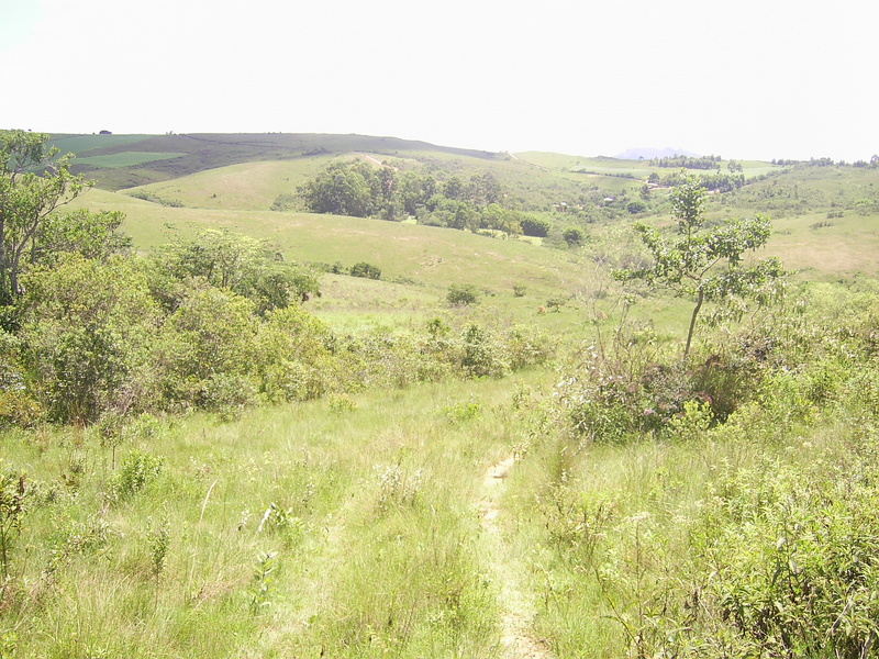 Visão geral - general view