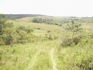 #1: Visão geral - general view