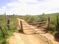 #10: Porteira no caminho - gate in the path