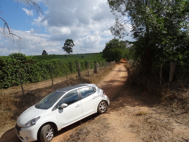 Calle frente a la plantación. Road in front of coffee plantation