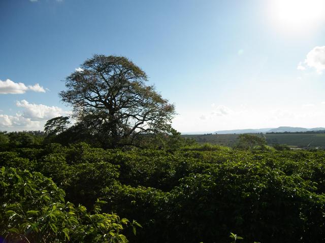 West view from the confluence