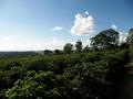 #2: North view from the confluence