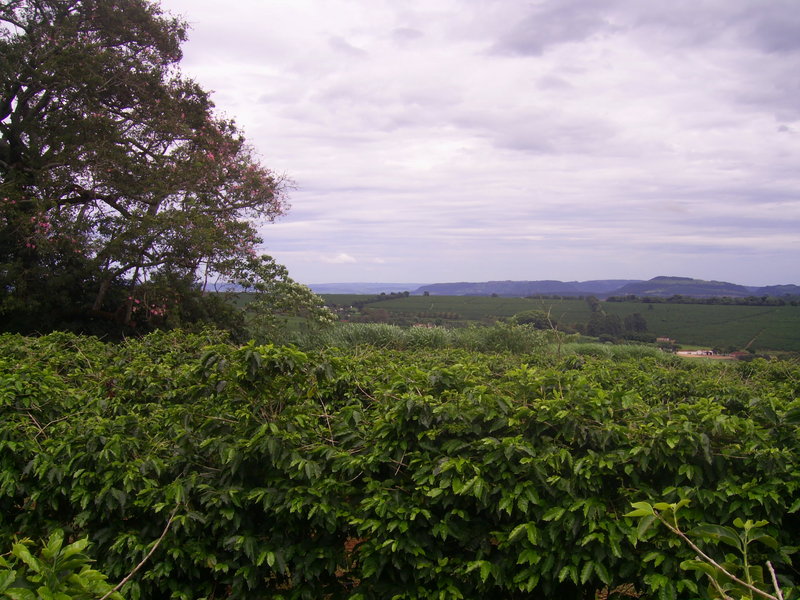 Visão oeste - west view