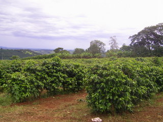 #1: Visão geral - general view