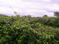 #4: Visão leste - east view