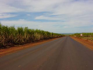 #1: Estrada para a usina (Road to the plant)