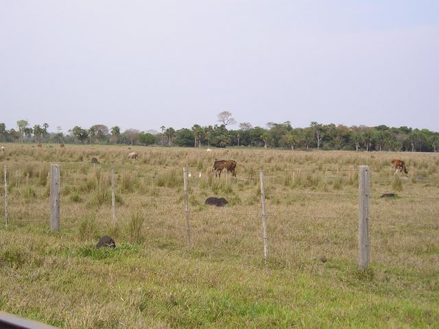 Other side - farm near point