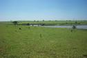 #7: The bridge. The confluence is 200m behind me.