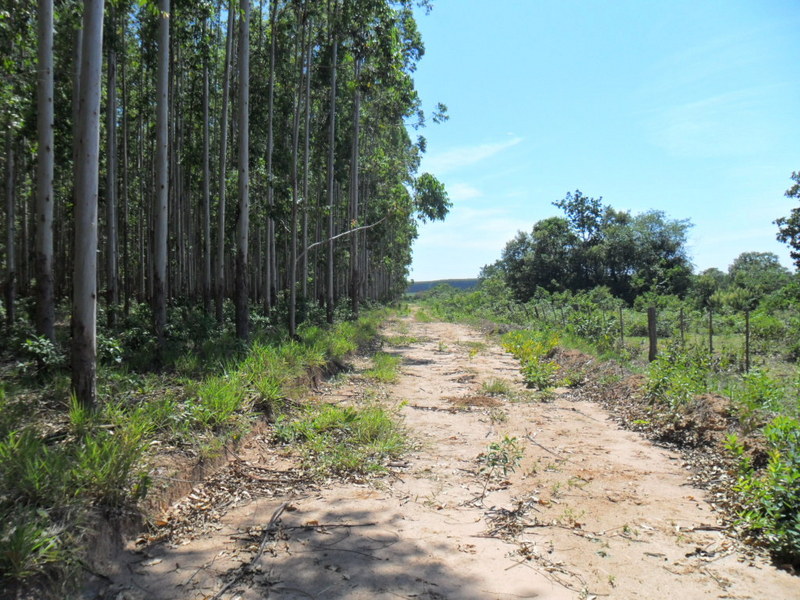 Visão geral - general view