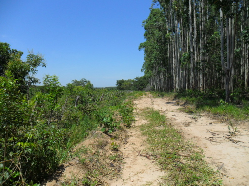 Visão oeste - west view