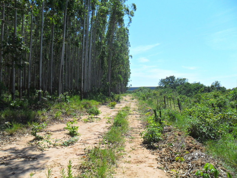 Visão leste - east view